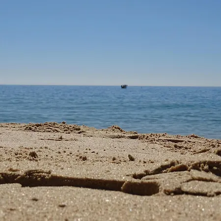 Apartament Casa Afonso Henriques *