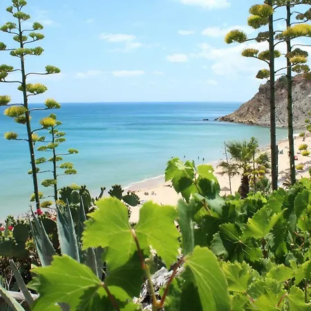 Apartament Casa Afonso Henriques *