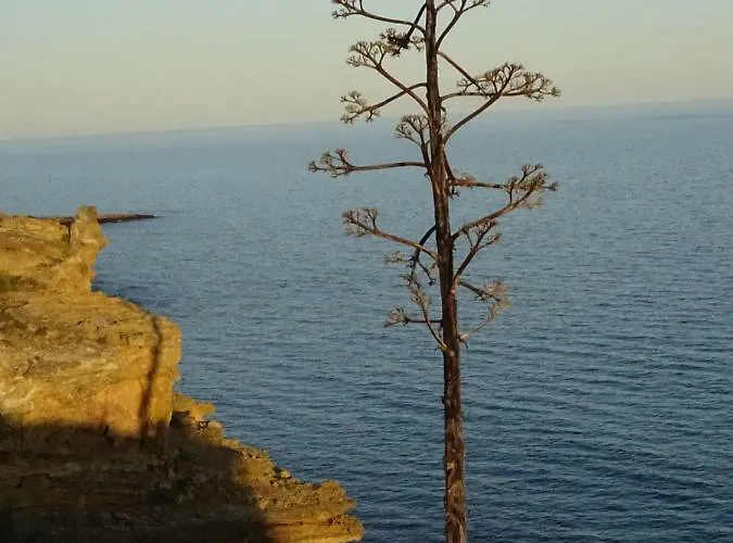 Lejlighed Casa Afonso Henriques Burgau