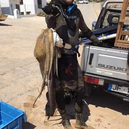 Casa Afonso Henriques