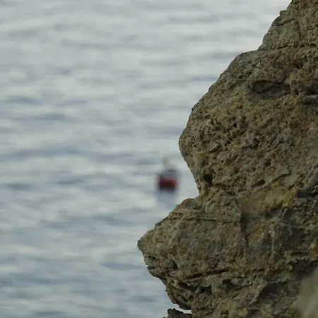 公寓 Casa Afonso Henriques *