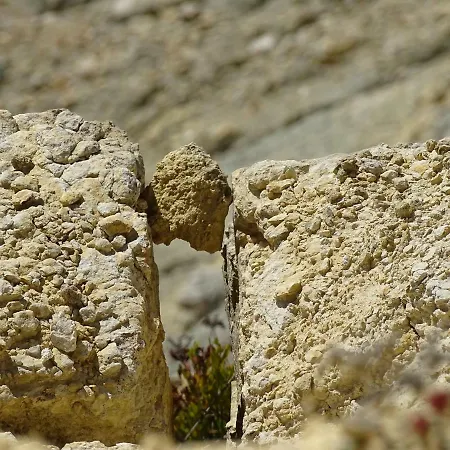 公寓 Casa Afonso Henriques *