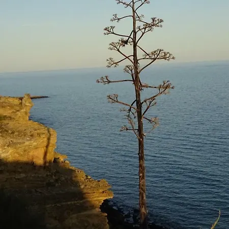 公寓 Casa Afonso Henriques 布尔高