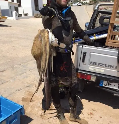 Casa Afonso Henriques