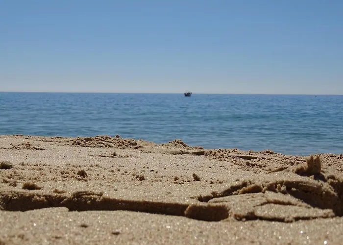 Daire Casa Afonso Henriques *