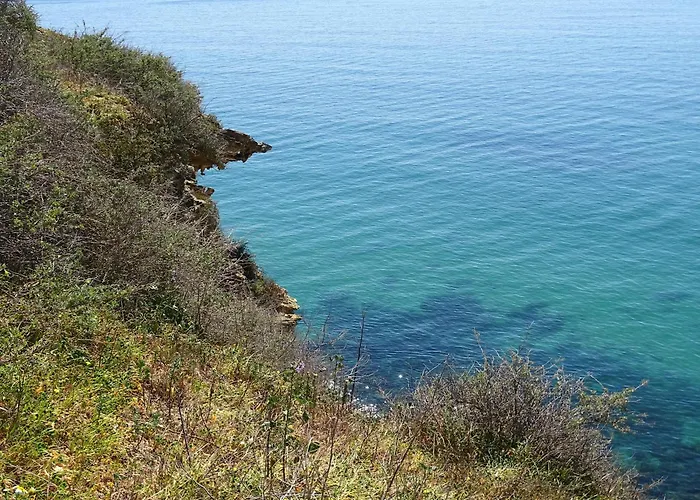 Casa Afonso Henriques Daire