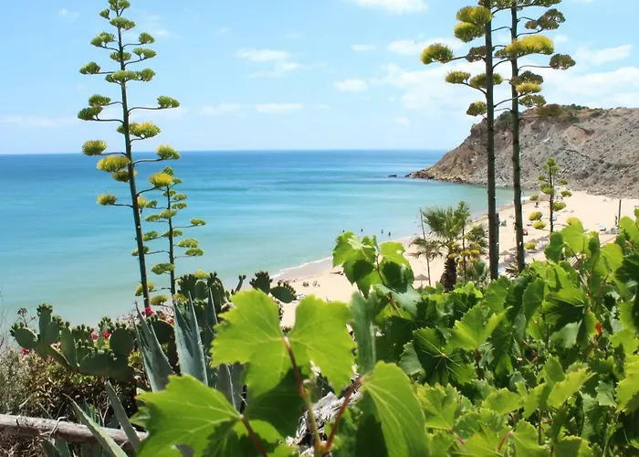 Daire Casa Afonso Henriques *