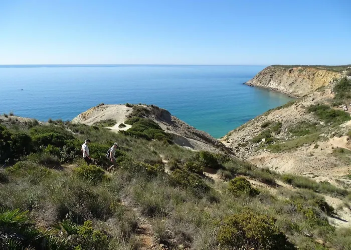 Daire Casa Afonso Henriques *