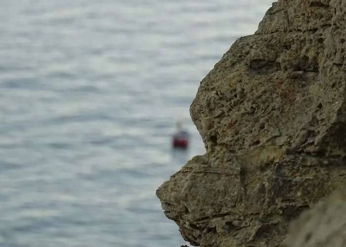 Daire Casa Afonso Henriques *