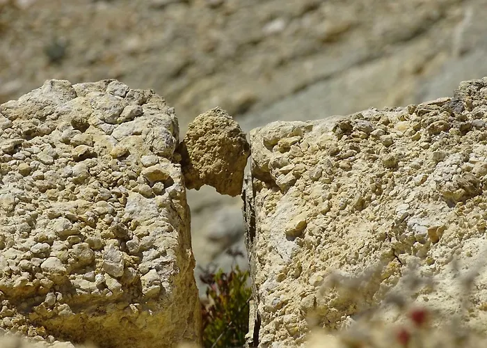 Daire Casa Afonso Henriques *