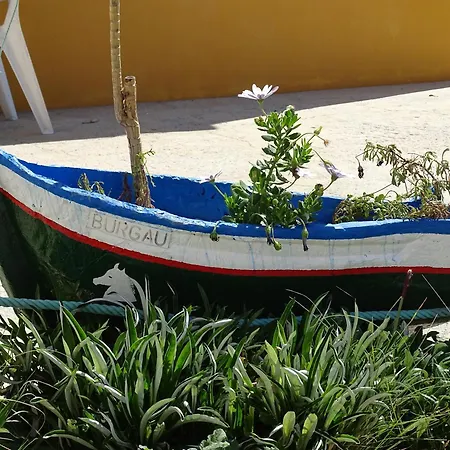 Casa Afonso Henriques شقة